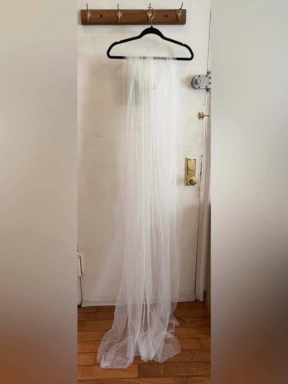 Off-White Cathedral Length Bridal Veil